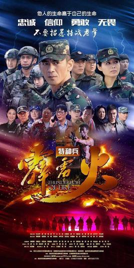 《特种兵之霹雳火》共45集_大陆电视剧全集剧情文案