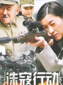 《诛寇行动》共31集_2012大陆电视剧全集剧情文案