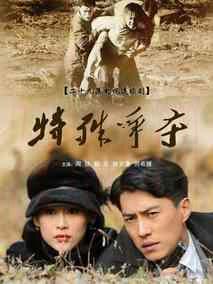 《特殊争夺》共29集_2009大陆电视剧全集剧情文案