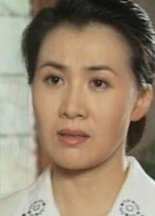 《世纪人生》共31集_内地电视剧全集剧情文案