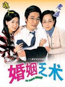 《婚姻乏术》共20集_2006香港电视剧全集剧情文案