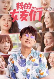 《我的女友们》共15集_其他电视剧全集剧情文案