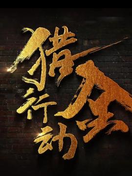 《猎金行动》共46集_2018年中国内地电视剧全集剧情文案