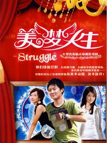 《美梦人生》共32集_2007大陆电视剧全集剧情文案