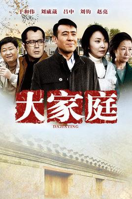 《大家庭》共30集_2012大陆电视剧全集剧情文案
