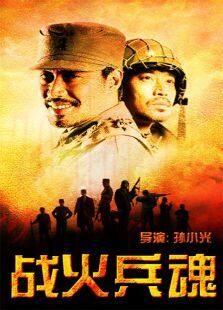 《战火兵魂》共35集_内地电视剧全集剧情文案