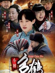 《小姨多鹤》共34集_2009大陆电视剧全集剧情文案