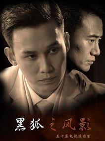 《黑狐之风影》共42集_大陆电视剧全集剧情文案