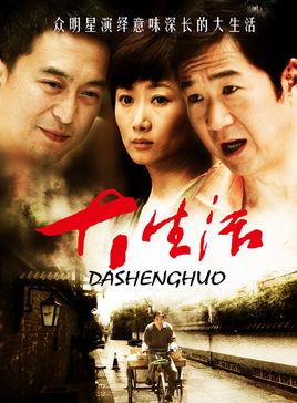 《大生活》共35集_2009大陆电视剧全集剧情文案