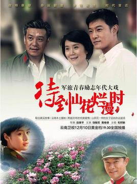 《待到山花烂漫时》共35集_大陆电视剧全集剧情文案