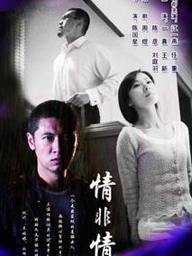 《情非情》共27集_2009大陆电视剧全集剧情文案