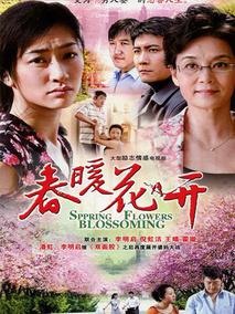 《春暖花开》共33集_大陆电视剧全集剧情文案