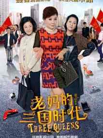 《老妈的三国时代》共41集_2014大陆电视剧全集剧情文案