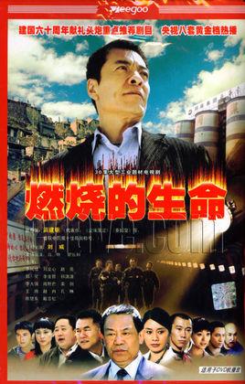 《燃烧的生命》共33集_2009大陆电视剧全集剧情文案