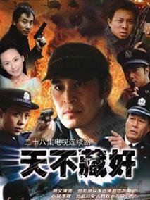 《天不藏奸》共28集_大陆电视剧全集剧情文案