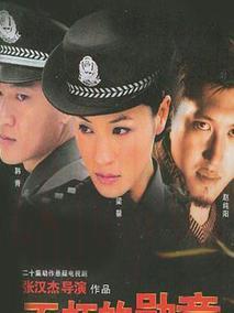 《不朽的勋章》共20集_大陆电视剧全集剧情文案
