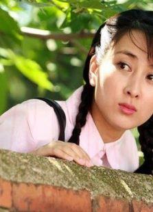 《女人如花》共32集_内地电视剧全集剧情文案