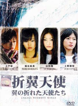 《折翼的天使们》共4集_日本电视剧全集剧情文案