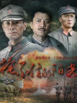 《掩不住的阳光》共38集_2019年中国内地电视剧全集剧情文案