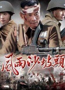 《风雨沙坡头》共35集_内地电视剧全集剧情文案