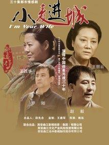 《小麦进城》共34集_大陆电视剧全集剧情文案