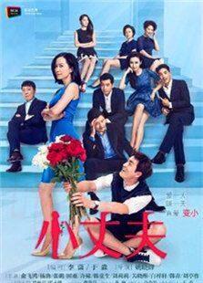 《小丈夫（2016版）》共20集_内地电视剧全集剧情文案