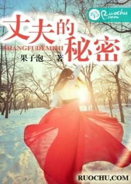 《丈夫的秘密》共28集_大陆电视剧全集剧情文案