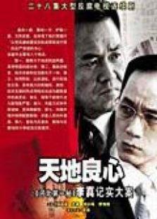 《天地良心之李真大案》共28集_内地电视剧全集剧情文案