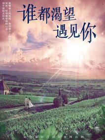 《谁都渴望遇见你》共36集_2020大陆电视剧全集剧情文案