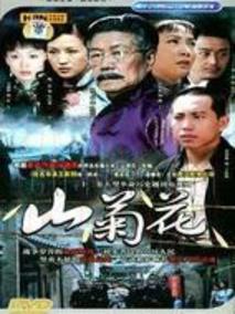 《山菊花》共32集_大陆电视剧全集剧情文案