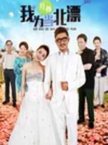 《我为儿孙当北漂》共41集_大陆电视剧全集剧情文案