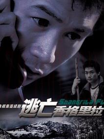 《5177 Protocol》共30集_2026年欧美电视剧全集剧情文案