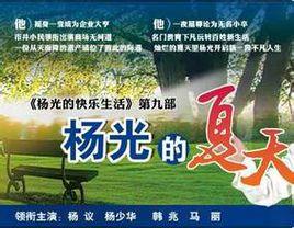 《杨光的夏天》共33集_2012大陆电视剧全集剧情文案