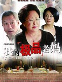 《我的极品老妈》共30集_2013大陆电视剧全集剧情文案
