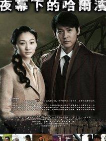 《夜幕下的哈尔滨》共33集_大陆电视剧全集剧情文案