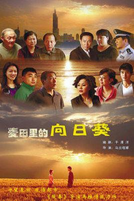 《葵花进城》共28集_大陆电视剧全集剧情文案