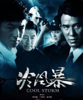 《冷风暴》共34集_大陆电视剧全集剧情文案