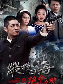 《绝命追踪》共36集_2013大陆电视剧全集剧情文案