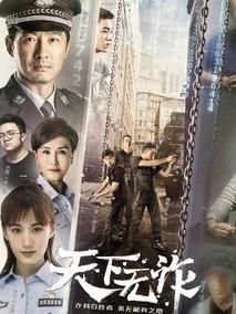 《天下无诈》共40集_2004大陆电视剧全集剧情文案