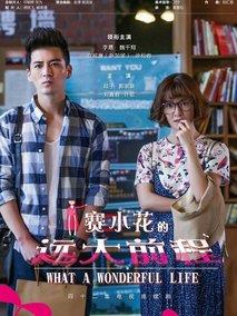 《赛小花的远大前程》共42集_2017大陆电视剧全集剧情文案