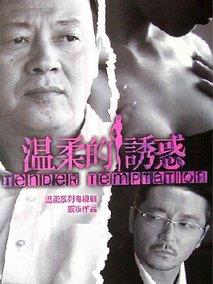 《温柔的诱惑》共38集_大陆电视剧全集剧情文案