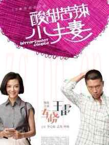 《酸甜苦辣小夫妻》共36集_大陆电视剧全集剧情文案