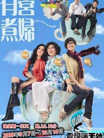 《有营煮妇》共30集_2009香港电视剧全集剧情文案