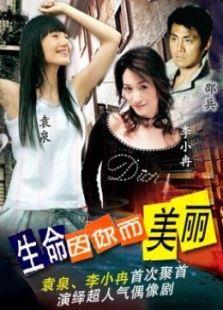 《生命因你而美丽》共20集_内地电视剧全集剧情文案