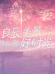 《良辰美景好时光》共31集_大陆电视剧全集剧情文案