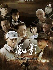 《风影》共31集_2013大陆电视剧全集剧情文案