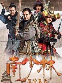 《南少林荡倭英豪》共48集_2013大陆电视剧全集剧情文案