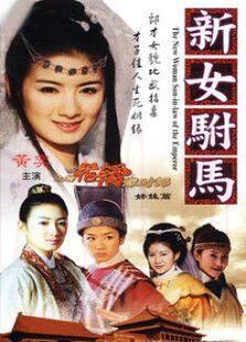《新女驸马》共22集_内地电视剧全集剧情文案