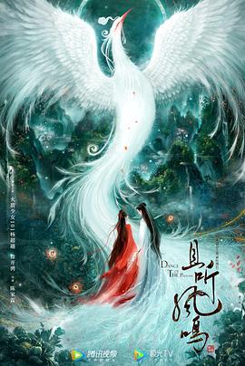 《神医凰后》共30集_大陆电视剧全集剧情文案