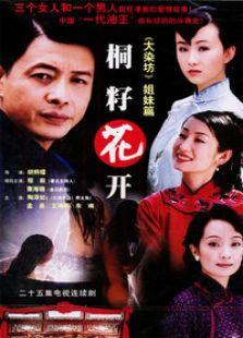 《桐籽花开》共25集_内地电视剧全集剧情文案